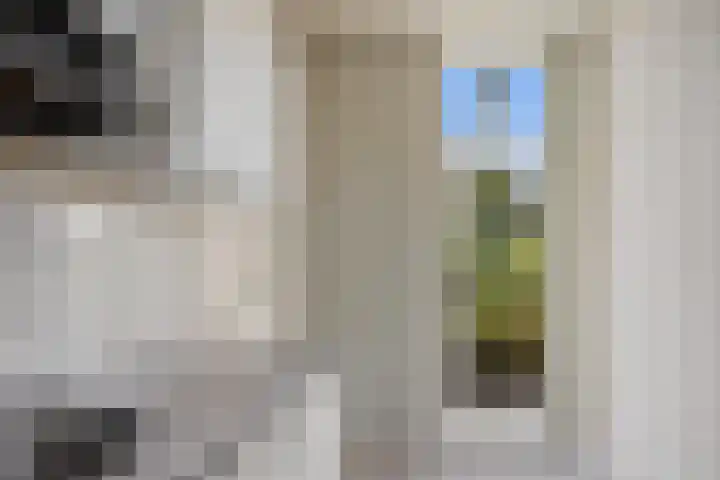 Sabangplein 18 a Groningen thumbnail 29