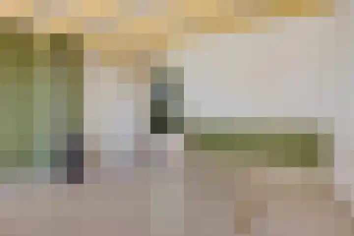 Sabangplein 18 a Groningen thumbnail 33