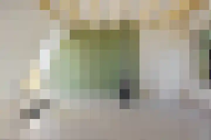 Sabangplein 18 a Groningen thumbnail 34