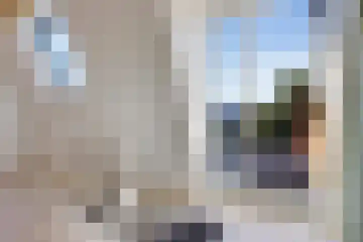 Sabangplein 18 a Groningen thumbnail 36