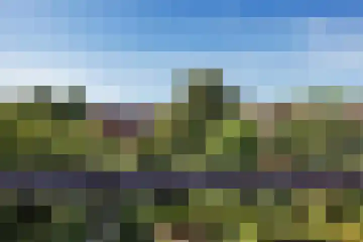 Sabangplein 18 a Groningen thumbnail 41