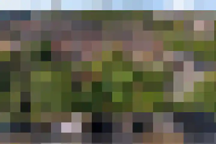 Sabangplein 18 a Groningen thumbnail 44