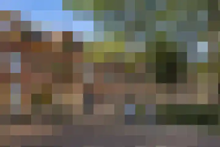 Sabangplein 18 a Groningen thumbnail 8