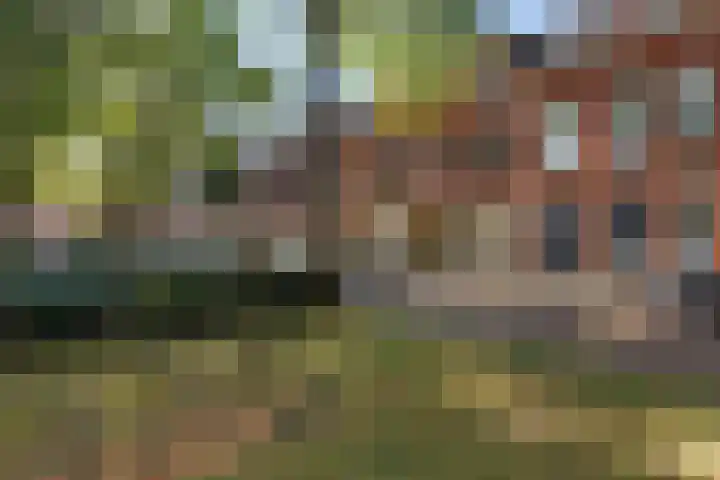 Sabangplein 18 a Groningen thumbnail 9