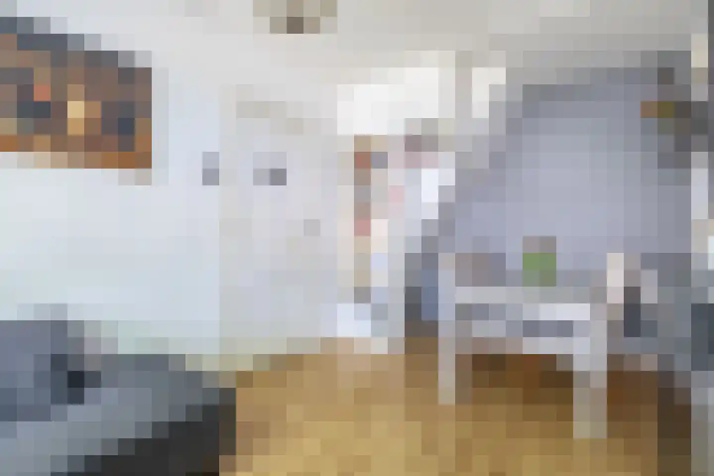 Sabangplein 20 a Groningen thumbnail 15