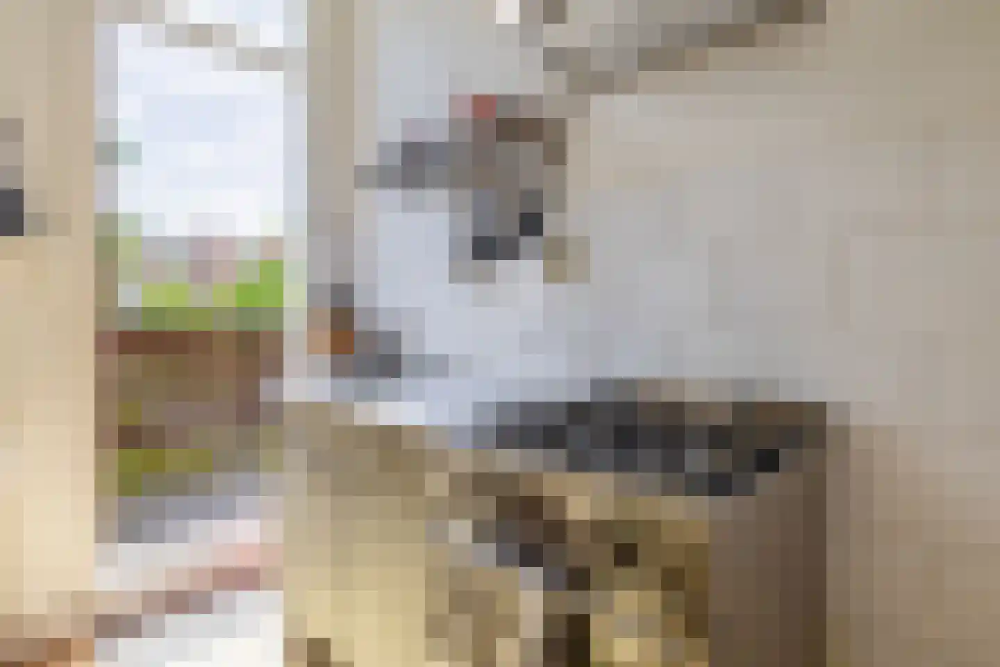 Sabangplein 20 a Groningen thumbnail 22