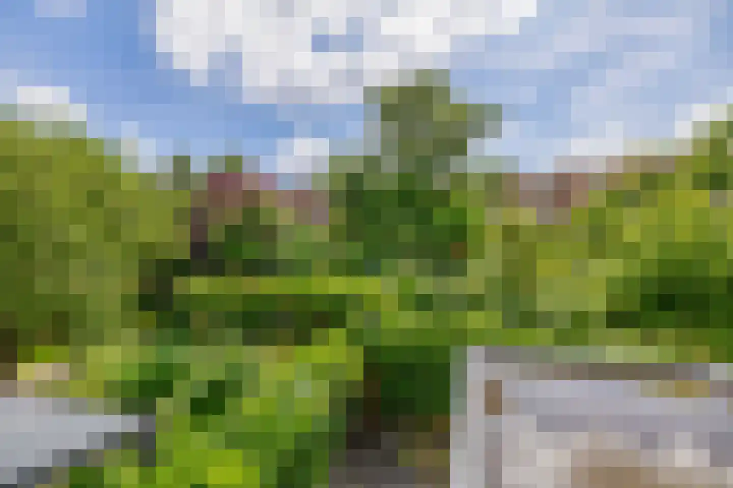 Sabangplein 20 a Groningen thumbnail 26