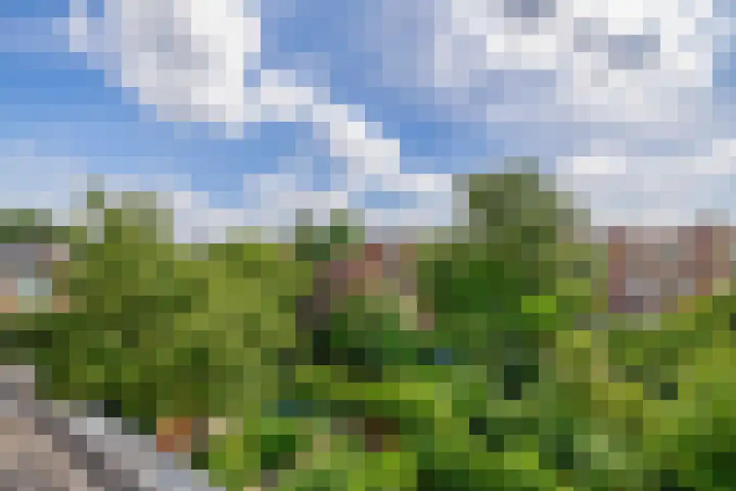 Sabangplein 20 a Groningen thumbnail 32