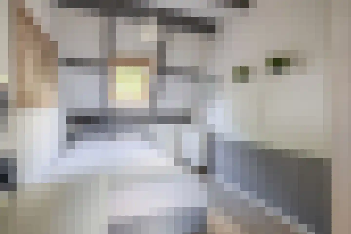 Sabangplein 20 a Groningen thumbnail 35