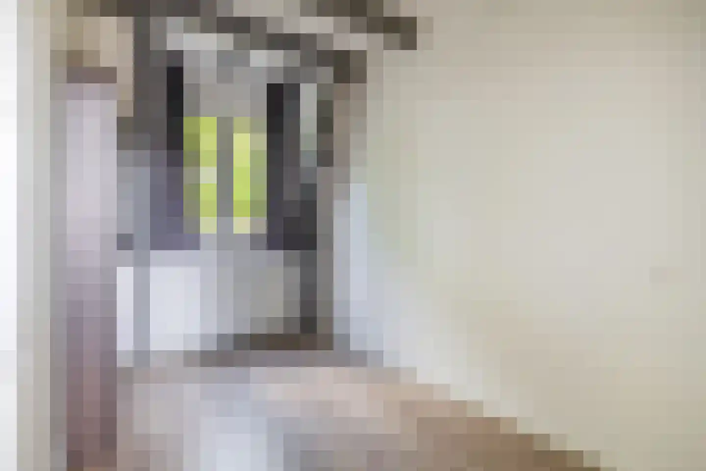 Sabangplein 20 a Groningen thumbnail 35