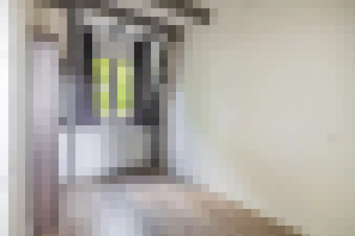Sabangplein 20 a Groningen thumbnail 36
