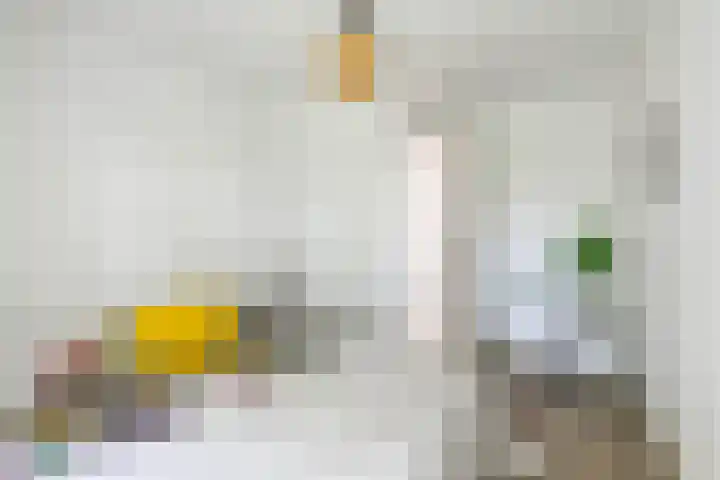 Sabangplein 9 b Groningen thumbnail 20
