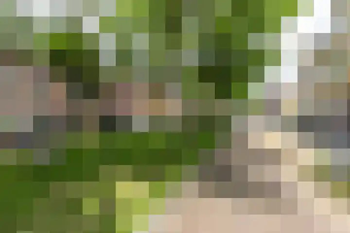 Sabangplein 9 b Groningen thumbnail 24