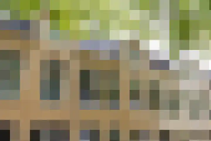 Sabangplein 9 b Groningen thumbnail 5