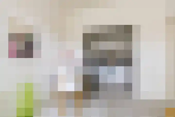 Sabangplein 9 Groningen thumbnail 10