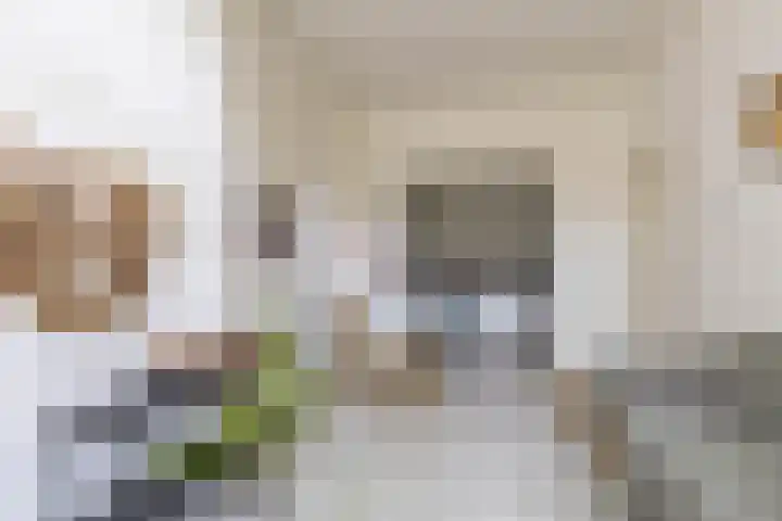 Sabangplein 9 Groningen thumbnail 11