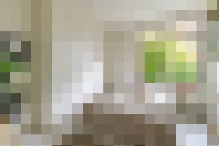 Sabangplein 9 Groningen thumbnail 21