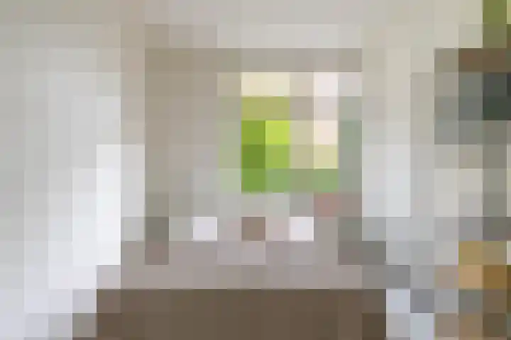 Sabangplein 9 Groningen thumbnail 22