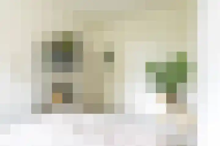 Sabangplein 9 Groningen thumbnail 23
