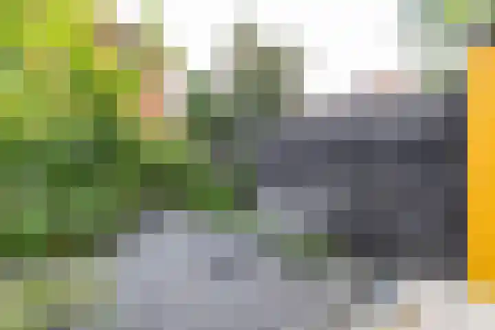 Sabangplein 9 Groningen thumbnail 24