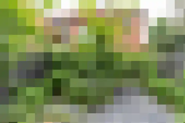 Sabangplein 9 Groningen thumbnail 25