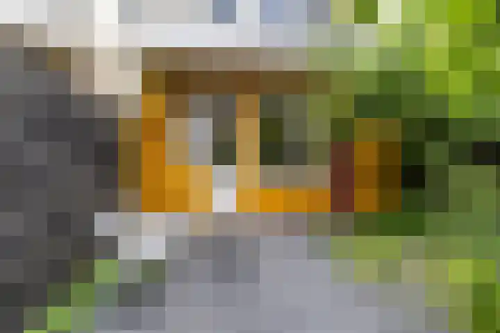 Sabangplein 9 Groningen thumbnail 26