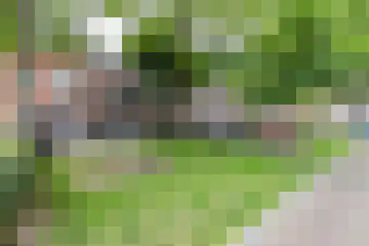 Sabangplein 9 Groningen thumbnail 28