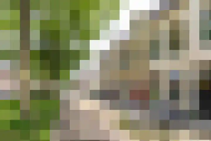 Sabangplein 9 Groningen thumbnail 29