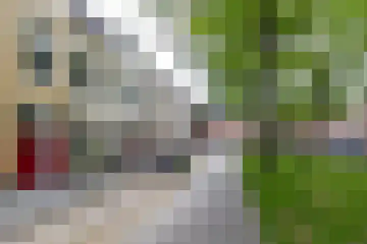 Sabangplein 9 Groningen thumbnail 4