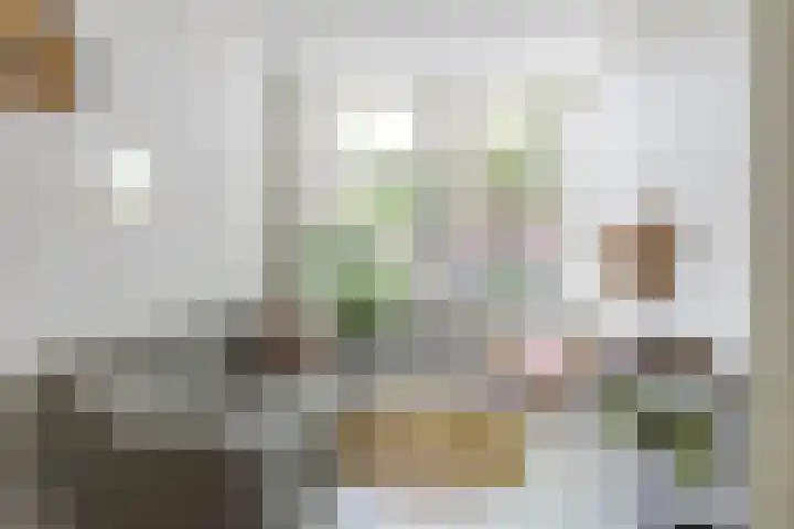 Sabangplein 9 Groningen thumbnail 9