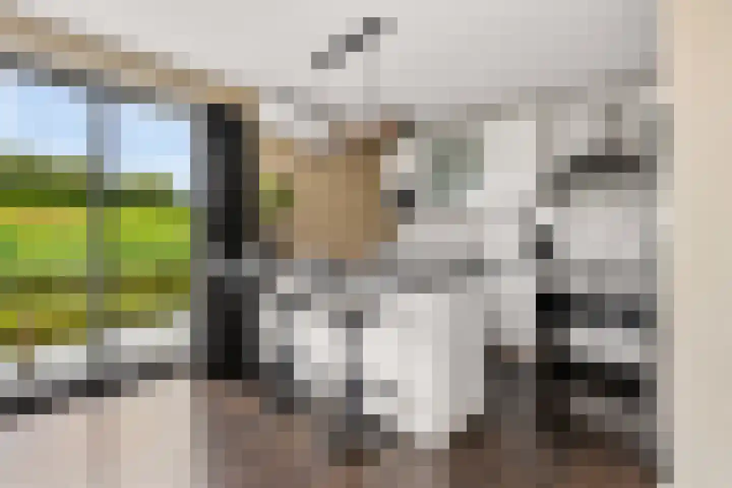 Sabapier 11 Almere thumbnail 4