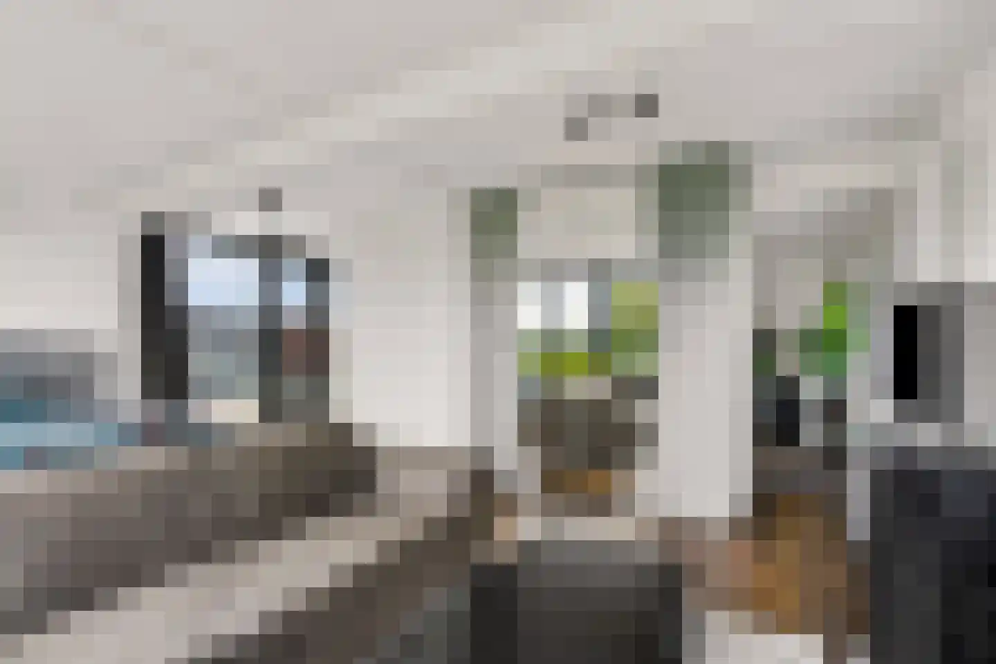 Sabapier 11 Almere thumbnail 58