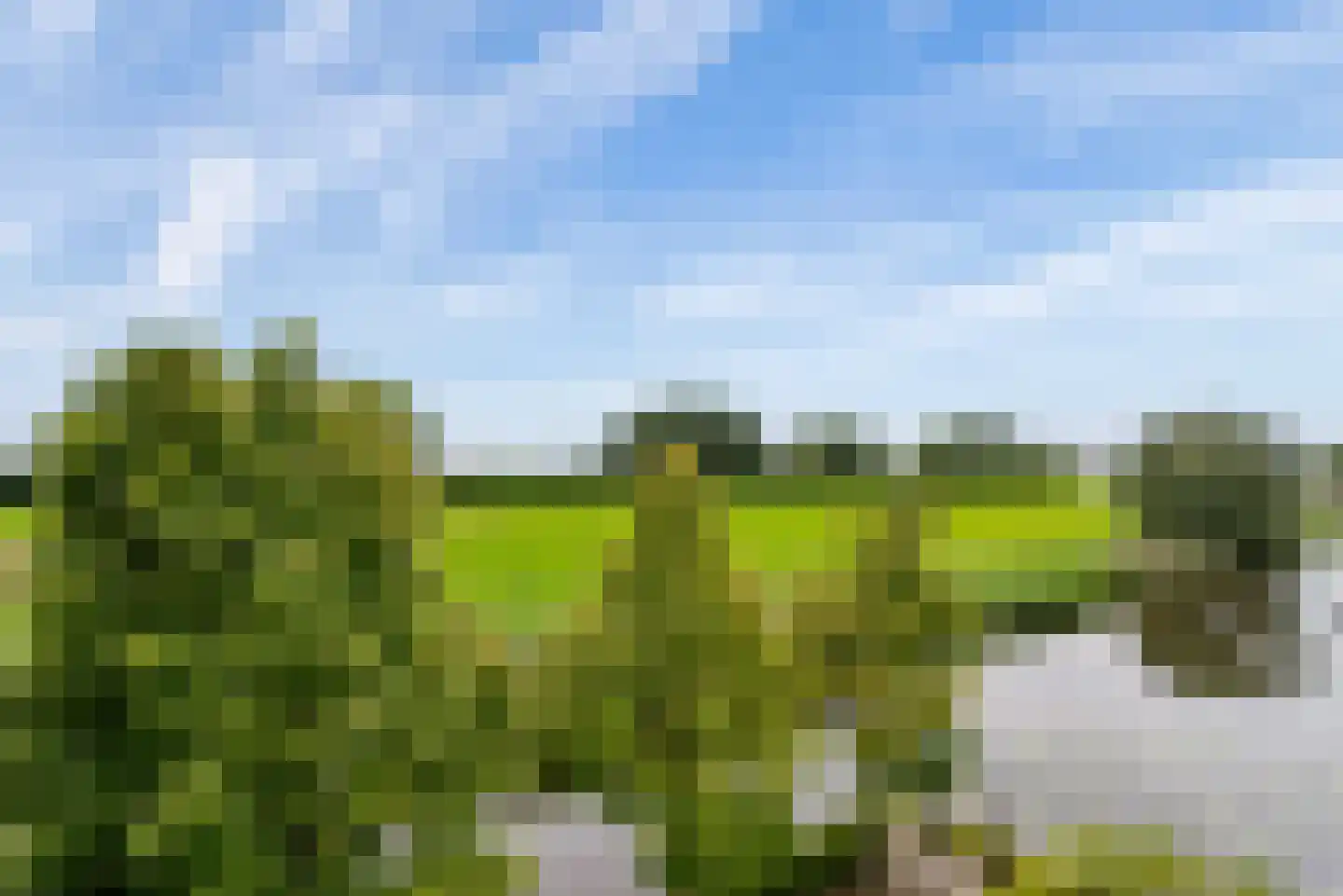 Sabapier 11 Almere thumbnail 66