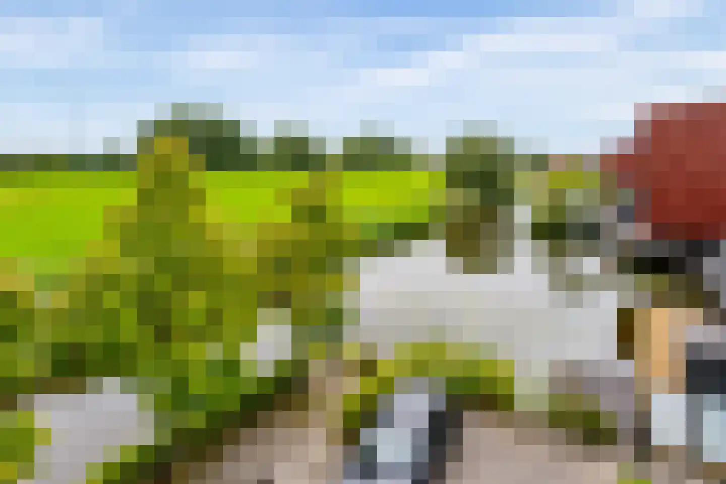 Sabapier 11 Almere thumbnail 68