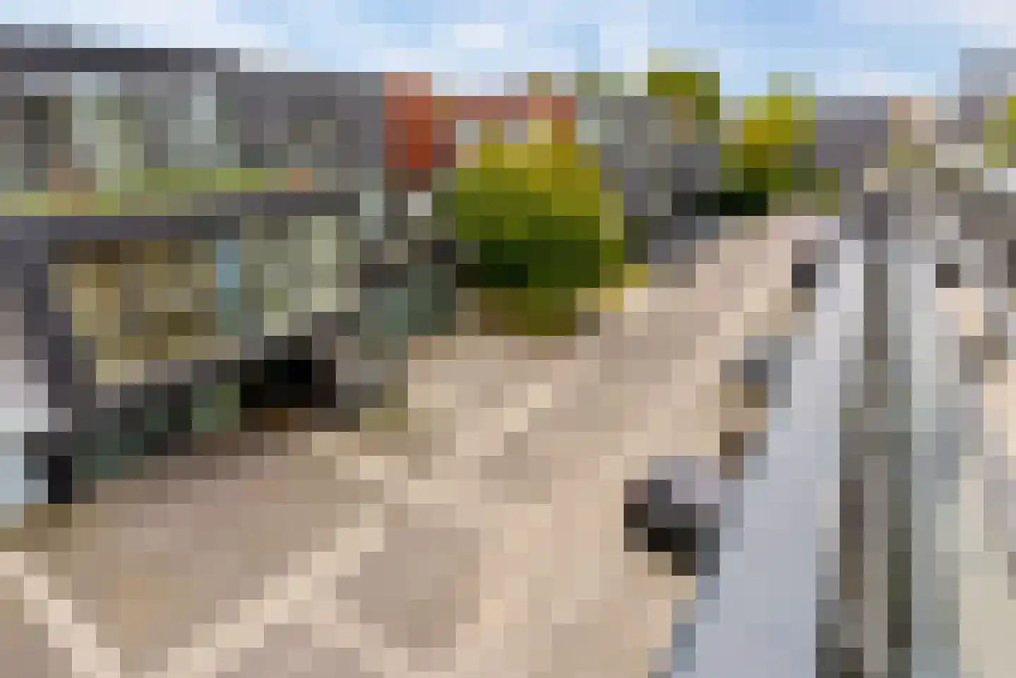Sabapier 11 Almere thumbnail 70