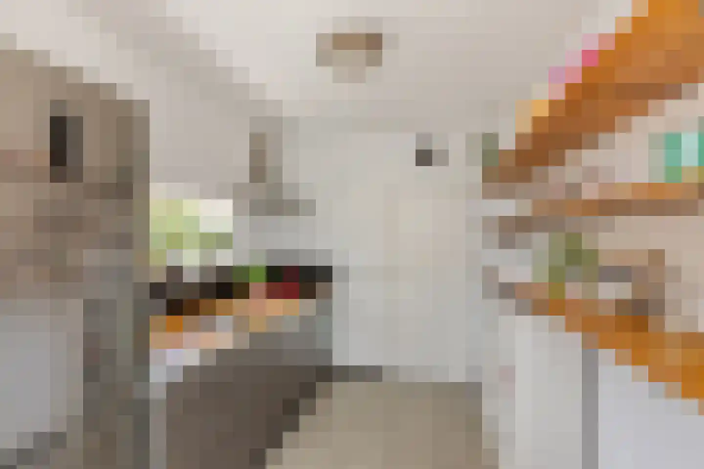 Sabastraat 13 Hengelo thumbnail 12