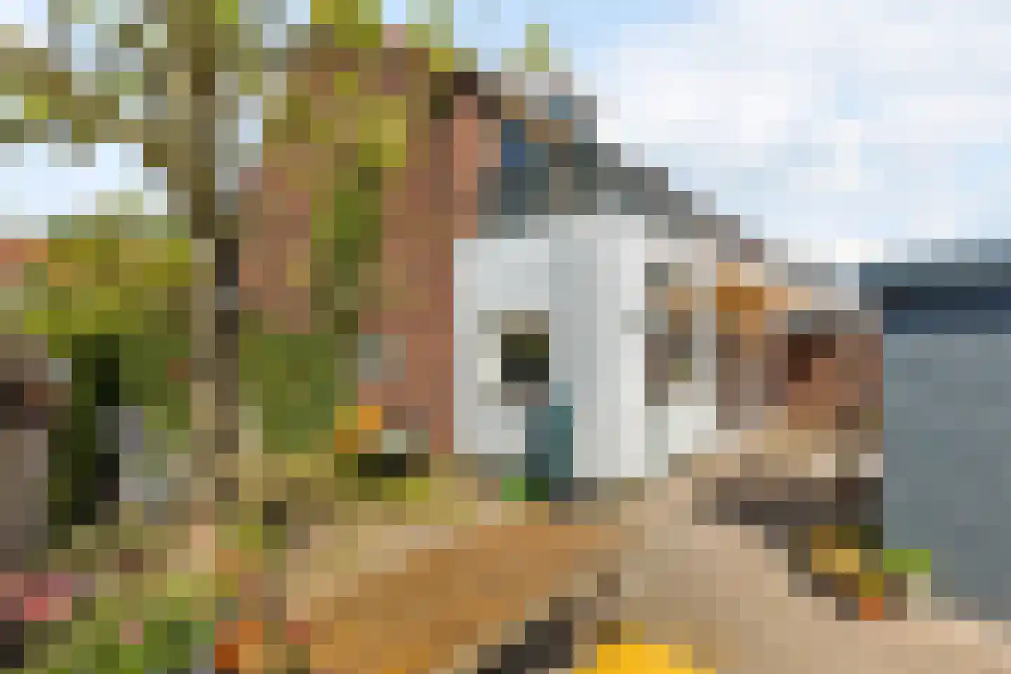 Sabastraat 13 Hengelo thumbnail 19