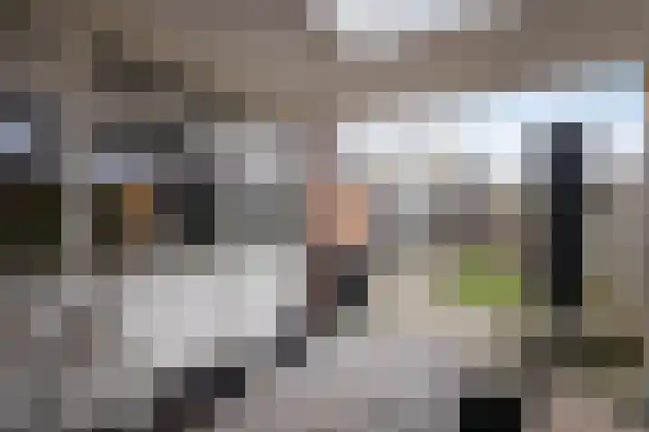 Sabastraat 6 Hengelo thumbnail 26