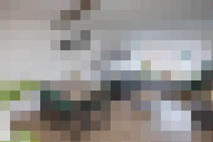 Sabastraat 6 Hengelo thumbnail 6