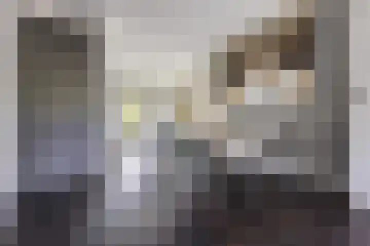 Sabelhof 1 Huissen thumbnail 11