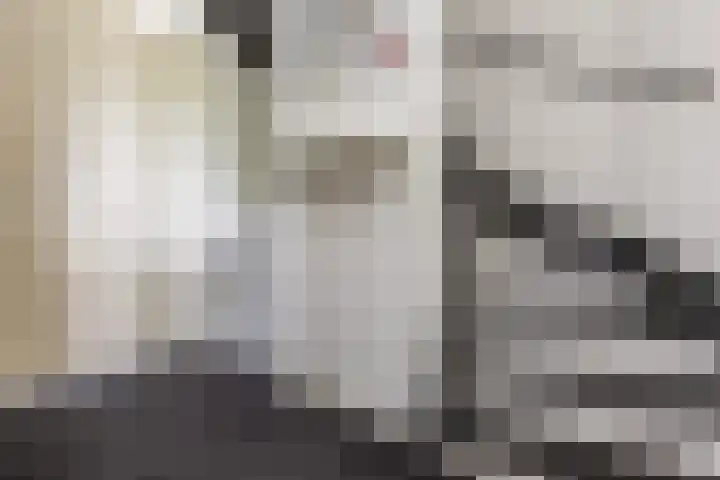 Sabelhof 1 Huissen thumbnail 13