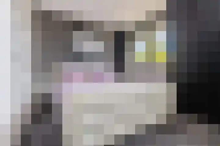 Sabelhof 1 Huissen thumbnail 14