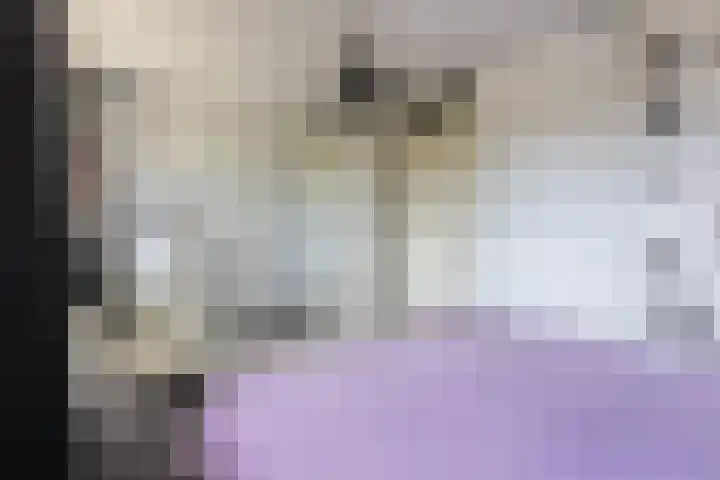 Sabelhof 1 Huissen thumbnail 15