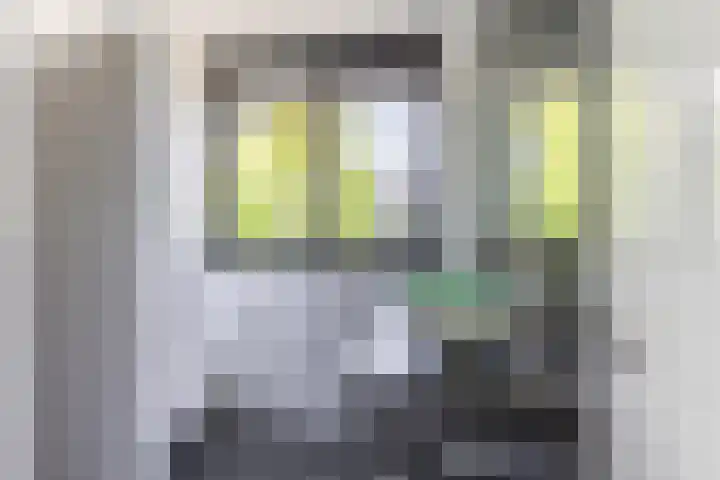 Sabelhof 1 Huissen thumbnail 18