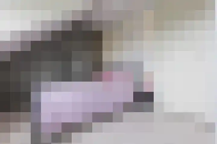 Sabelhof 1 Huissen thumbnail 22