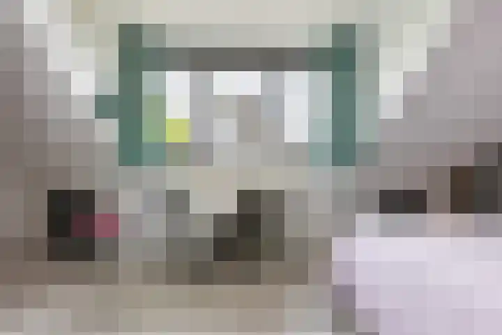 Sabelhof 1 Huissen thumbnail 23