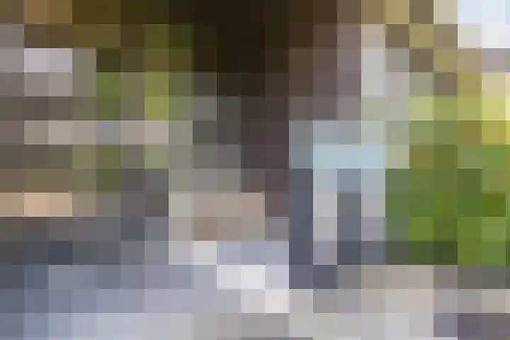 Sabelhof 1 Huissen thumbnail 24