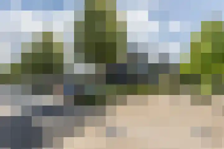 Sabelhof 1 Huissen thumbnail 25