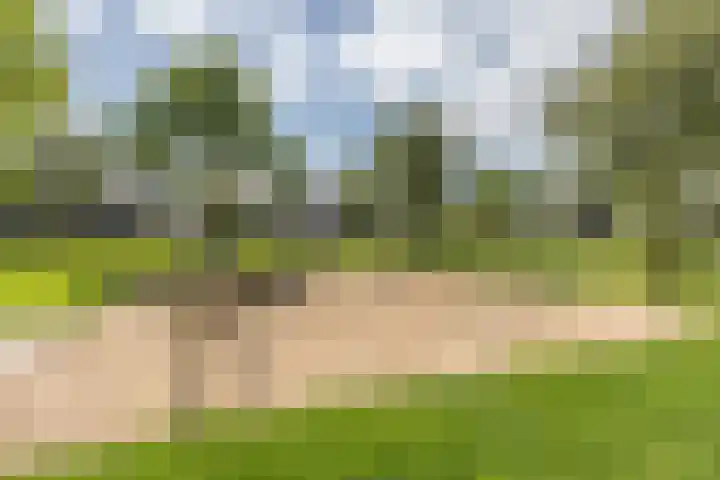 Sabelhof 1 Huissen thumbnail 26