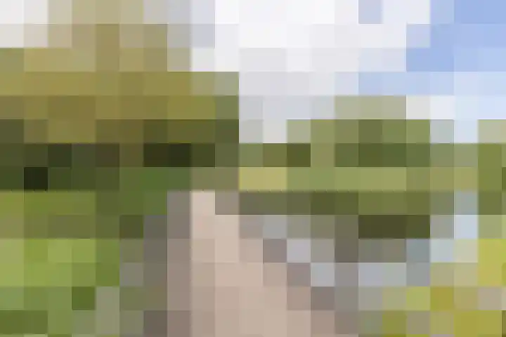 Sabelhof 1 Huissen thumbnail 27